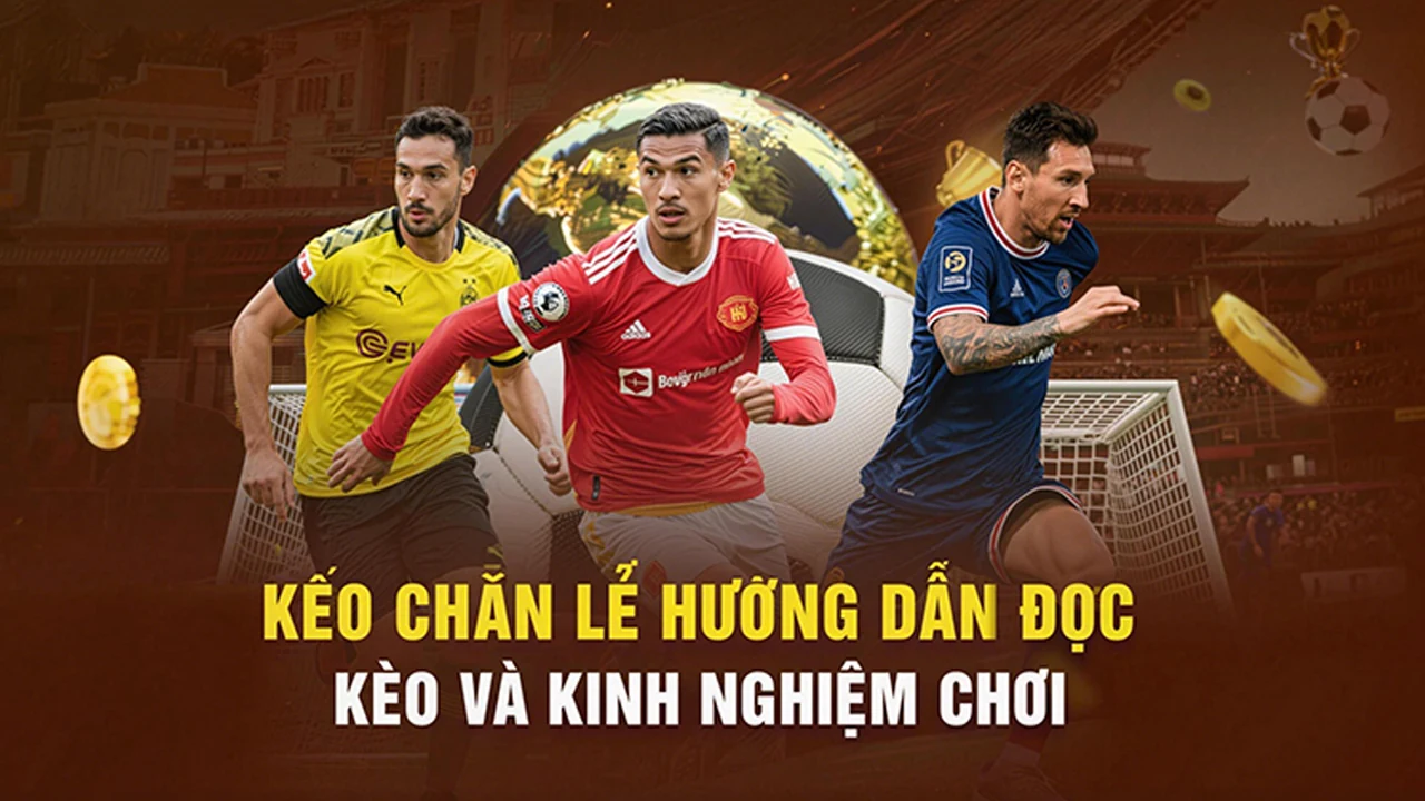 Đá gà trên BJ38 – bước kiểm tra thực tế
